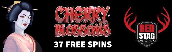 37 Free Spins