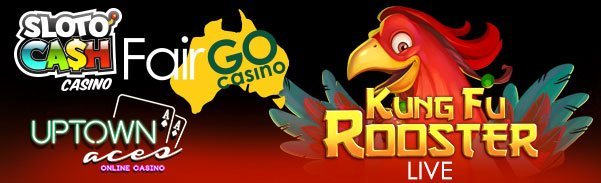Kung Fu Rooster