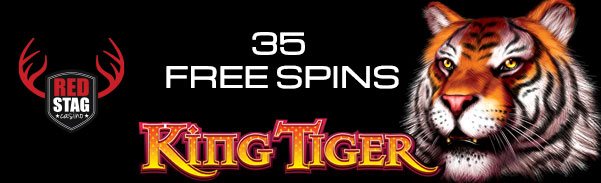 35fsktiger