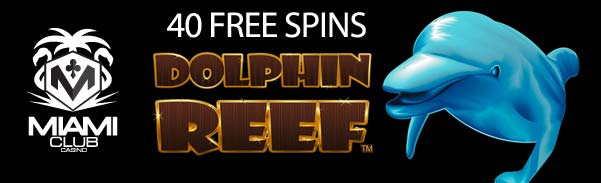 40fddolphinreef