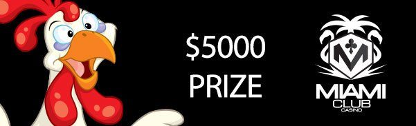 5kfunkychickenprize