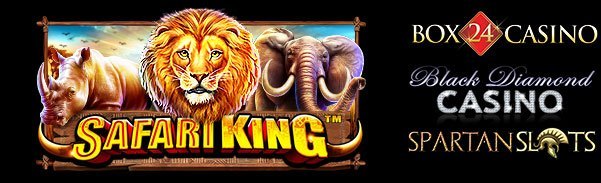 SafariKing