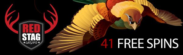birdsop41fs