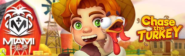 chasetheturkey
