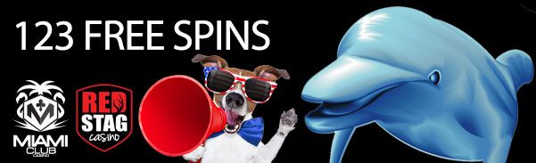 dogdolphin123