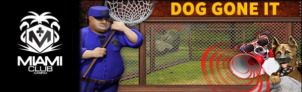 doggoneit