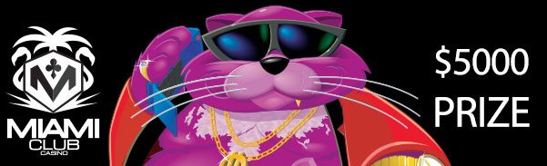 fatcat5kprize