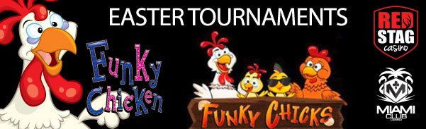 funkychickenandchicks