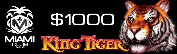 kingtiger1k