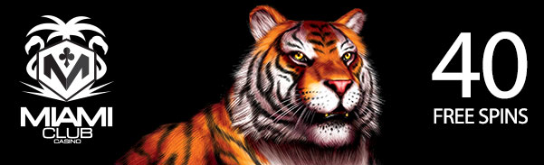 kingtiger40fsmc