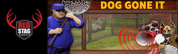 rsdoggoneit