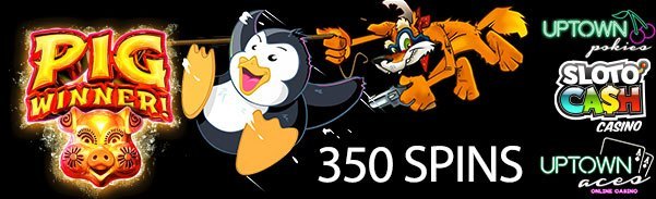 rtg350fscoypenpig