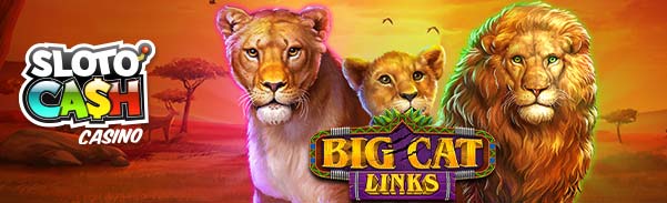 bigcatlinks
