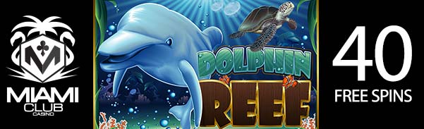 dolp40fs
