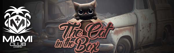 thecatinthebox