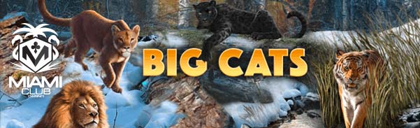 bigcats